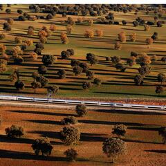 Un transporte verde: el tren tiene menos emisiones que otros