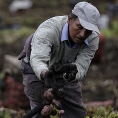 Ingreso Solidario marzo: qué hacer si no lo he recibido