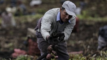 Ingreso Solidario marzo: qué hacer si no lo he recibido