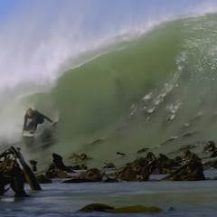 Algas y tiburones: el precio de surfear solos en una ola perfecta