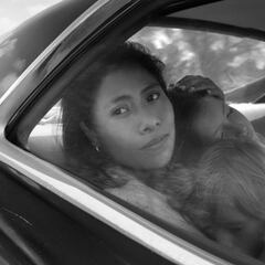 Nominadas al Oscar a mejor película 2019