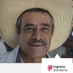 Ingreso Solidario en Colombia: como identificar páginas web falsas