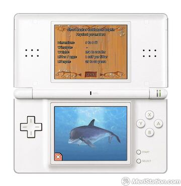 Captura de pantalla - dolf_ds_screen_ds_frame_dolphin.jpg