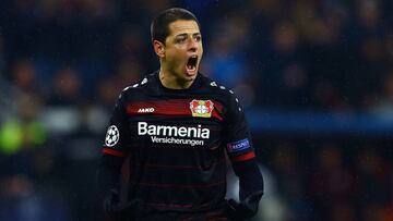 El estratega Tayfun Korkut confía en que el atacante mexicano pueda regresar el domingo para el partido ante el Freiburg en la Bundesliga.