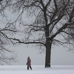 Alerta de tormenta de nieve y ventiscas en USA: cuándo será y estados afectados
