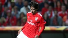 Atlético: Hector Herrera praises Joao Félix's intelligence