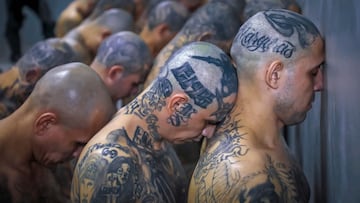 Handout picture released by the Press Secretary of the Presidency of El Salvador showing the arrival of inmates belonging to the MS-13 and 18 gangs to the new prison "Terrorist Confinement Centre" (CECOT), in Tecoluca, 74 km southeast of San Salvador, on February 24, 2023. - The first 2,000 gang members were transferred from the Izalco prison to "America's largest" mega-prison, equipped with high-tech surveillance and designed to house 40,000 criminals, Salvadorean President Nayib Bukele, who is waging a "war" against these groups, announced on February 24. (Photo by Salvadorean Presidency / AFP) / RESTRICTED TO EDITORIAL USE - MANDATORY CREDIT "AFP PHOTO / SALVADOREAN PRESIDENCY" - NO MARKETING - NO ADVERTISING CAMPAIGNS - DISTRIBUTED AS A SERVICE TO CLIENTS