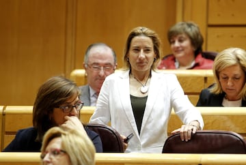 Comenzó en la política en 2003 en las listas del Partido Popular en el ayuntamiento de Palencia, obtuvo el acta de concejal en el area de deportes. Desde 2011 es senadora del Partido Popular por Palencia