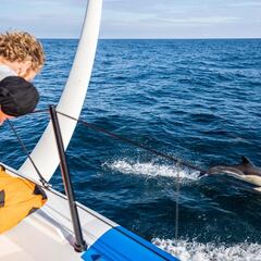 El MMAG intenta encontrar respuestas a las colisiones en el mar