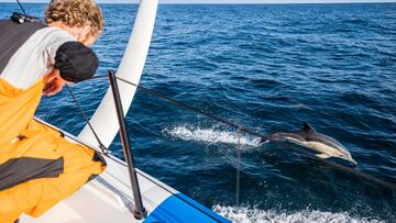 El MMAG intenta encontrar respuestas a las colisiones en el mar