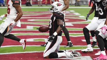 GLENDALE, AZ - OCTOBER 15: Adrian Peterson #23 of the Arizona Cardinals celebrates a 27 yard rushing touchdown against the Tampa Bay Buccaneers during the first quarter at University of Phoenix Stadium on October 15, 2017 in Glendale, Arizona.   Norm Hall/Getty Images/AFP
 == FOR NEWSPAPERS, INTERNET, TELCOS &amp; TELEVISION USE ONLY ==