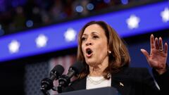 What are Kamala Harris’s proposed economic policies?