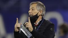 Holan: "Fuimos competitivos en la Sudamericana y en la Libertadores"