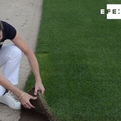 El origen del césped del nuevo Bernabéu