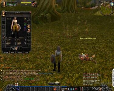 Blizzard es implacable con los tramposos