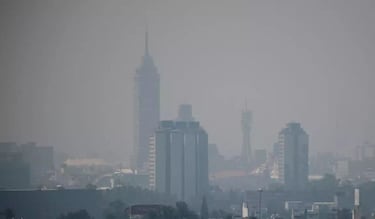 ¿Qué autos no circulan mañana?: la pregunta que no debería de existir en CDMX 