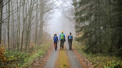 Se pide la baja por ansiedad laboral, va de senderismo a Picos de Europa y todo termina en despido procedente
