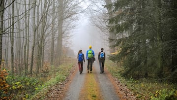 Tres excursionistas realizando una ruta de senderismo por el bosque.