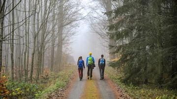 Tres excursionistas realizando una ruta de senderismo por el bosque.