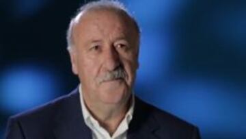 Vicente del Bosque