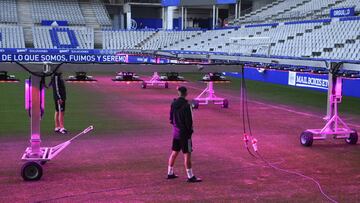 Tratamiento para el césped del Tartiere.