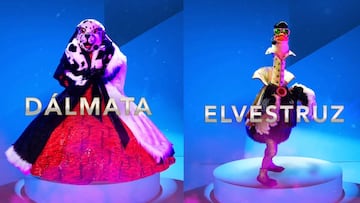 ¿Quién es la máscara?: Ellos son los eliminados del domingo 13 de noviembre