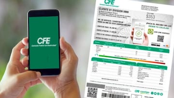 Las personas que no tendrán que pagar más el cobro de la luz tras la aplaudida decisión de CFE