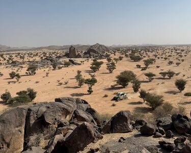 Quien madruga se va de excursión