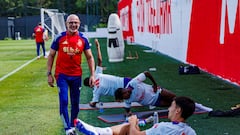 De la Fuente cambiará la alineación ante Suiza