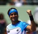 Ferrer ante Melzer en cuartos, tras caer Almagro y Ramos
