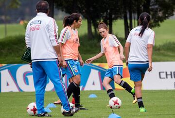 Selección Colombia adelanta el primer microciclo de trabajos en Bogotá de cara a la Copa América de Chile 2018.