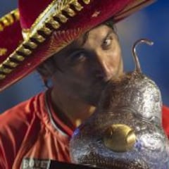 David Ferrer, cuarto título en Acapulco y tercero en 2015