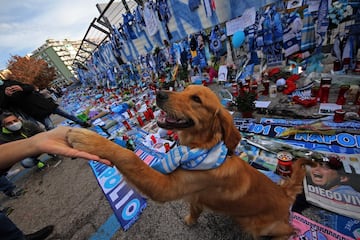 Numerosos aficionados del club italiano se han acercado a los alrededores del estadio San Paolo para dar el último adiós al astro argentino. Las inmediaciones de la casa del Nápoles se han convertido en un santuario de Diego antes del encuentro frente a la Roma.