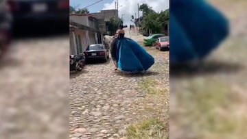 Fiesta de quince años: Caballo se escapa con quinceañera en México