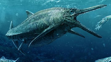 La Universidad de Edimburgo presenta los restos fósiles de un dinosaurio marino que habitó sus aguas.