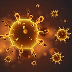 Qué sabemos del coronavirus: origen, características, síntomas, tratamiento, vacunas...