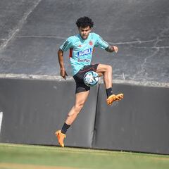 Luis Díaz: “Tenía ganas de volver a la Selección Colombia”