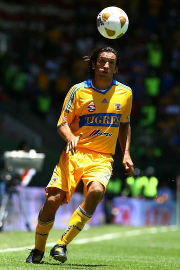 Tras dejar la Liga MX en 2006, el delantero mexicano emigró al Benfica de Portugal, donde no tuvo el éxito que se esperaba. Apenas un año después regresó a México para jugar con Tigres. En la Sultana del Norte estuvo hasta 2010.