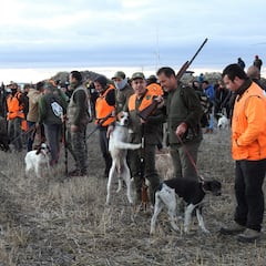 El Deporte Español rechaza el proyecto de Ley de Derechos de los Animales