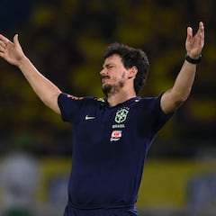 Brasil despide a Fernando Diniz como seleccionador