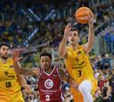 Resumen del Gran Canaria vs Basket Zaragoza, jornada 12 de la Liga Endesa