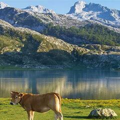 Los 10 lugares de Asturias que debes visitar