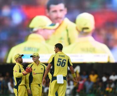 Starc: Australian becomes fastest to reach 100 ODI wickets