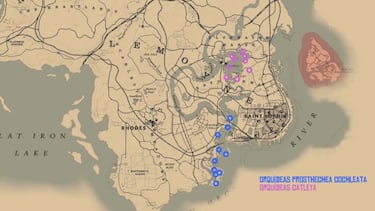 Todos los objetos exóticos de Red Dead Redemption 2