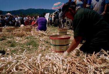 Festival gastronómico en los Estados Unidos, que se celebra anualmente en Gilroy, California, el último fin de semana completo en julio en el parque Christmas Hill. Es un de los festivales gastronómicos más conocidos del país y atrae a visitantes de todo el país.  Con 60.000 habitantes, Gilroy es un importante productor de ajo.