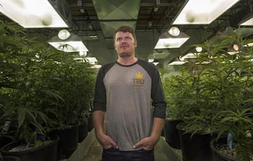 Floyd Landis, en su laboratorio de producción de cannabis en Denver, Colorado.