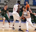 Resumen del Unicaja vs. Baskonia de la Liga Endesa