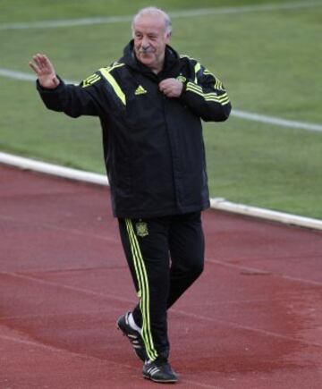 Segundo día. Vicente del Bosque.