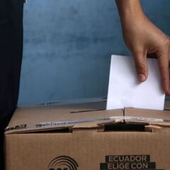 Células caducadas y sin caducar: fechas y validez en 2021