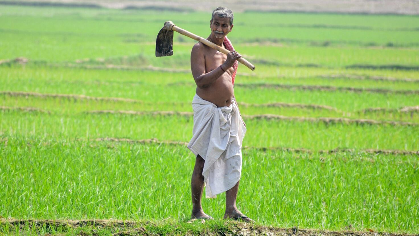 La Revolución Silenciosa: Cómo la Agricultura Cambió el Curso de la Humanidad en Múltiples Lugares al Mismo Tiempo